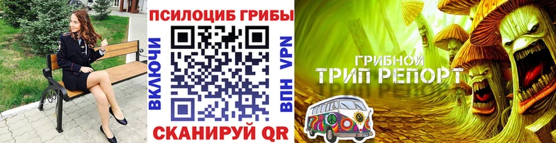 Псилоцибиновые грибы MAGIC MUSHROOMS  darknet Telegram  Лермонтов 