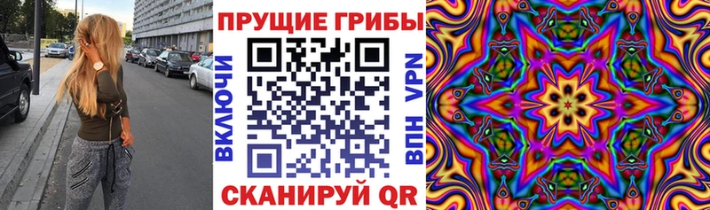 Псилоцибиновые грибы мицелий Лермонтов